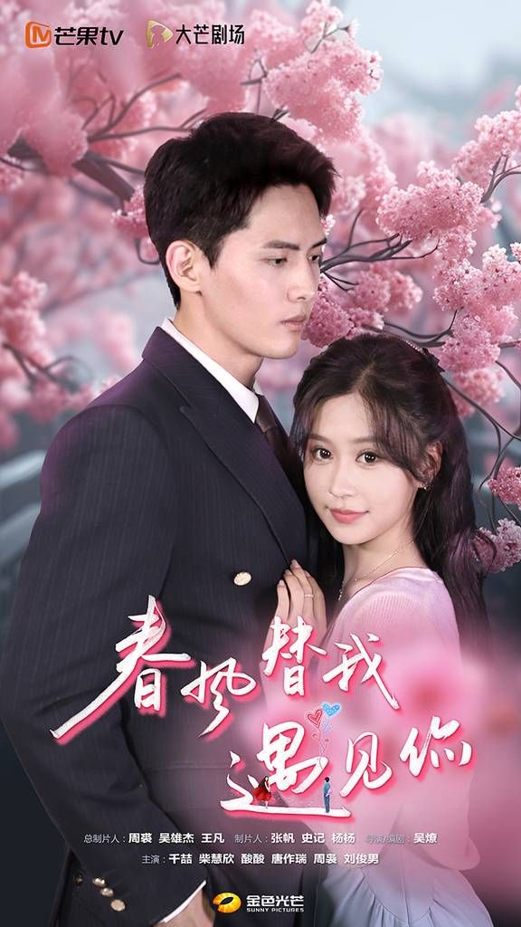 春风替我遇见你 第61-80集