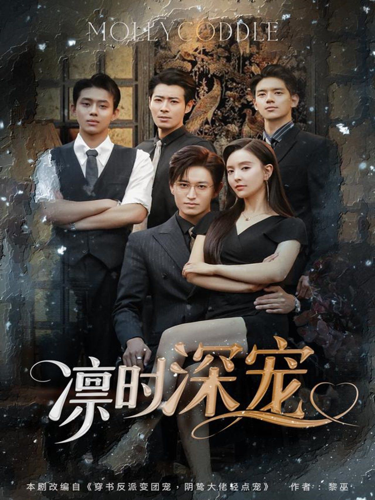 凛时深宠 全集完结(大结局)