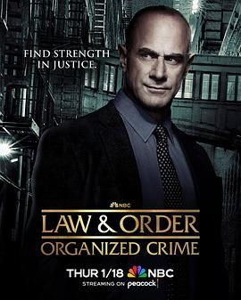 法律与秩序：组织犯罪 第四季 第7集