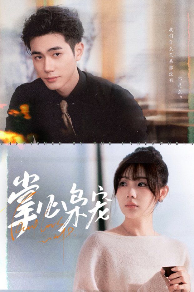 掌心枭宠 全集完结(大结局)