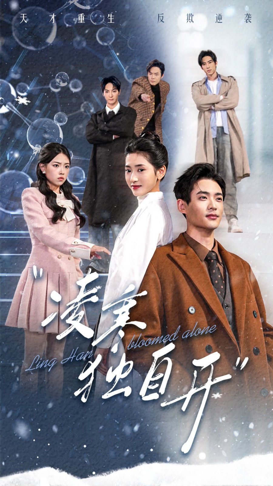 凌寒独自开 第21-40集