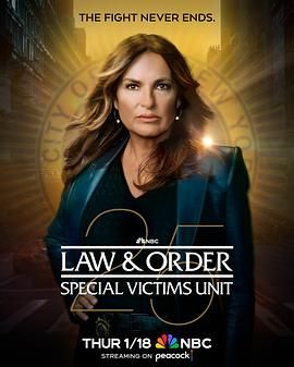 法律与秩序：特殊受害者 第二十五季 第8集