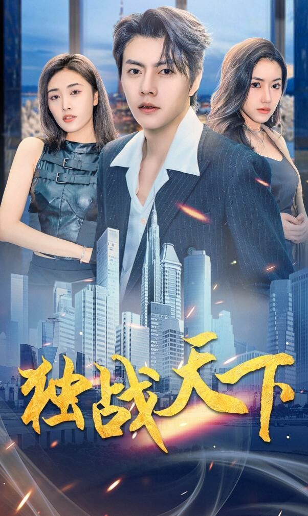 独战天下 第21-40集