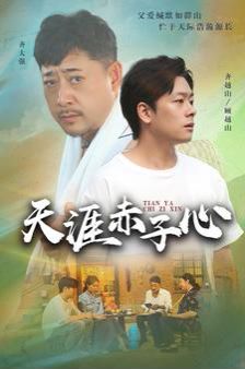 天涯赤子心 第21-40集