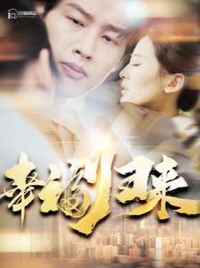 幸福归来 第61-80集