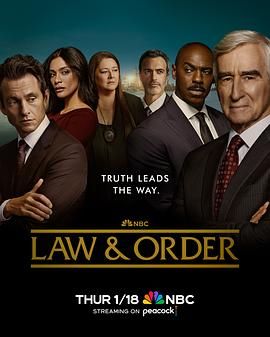 法律与秩序 第二十三季 第12集