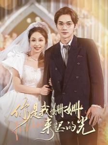 你是我姗姗来迟的光 第81-99集完结 (大结局)