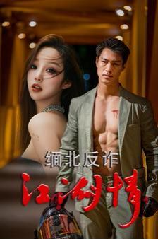 缅北反诈江湖情 第21-40集