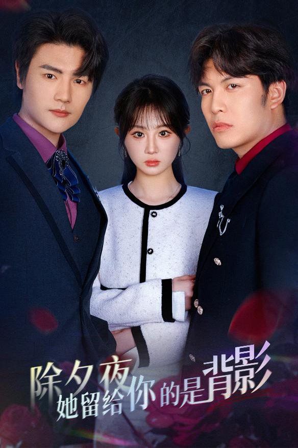 除夕夜她留给你的是背影 第1-20集