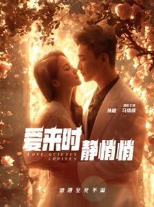爱来时静悄悄 第41-60集