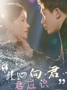 此心向君君应识 第1-20集