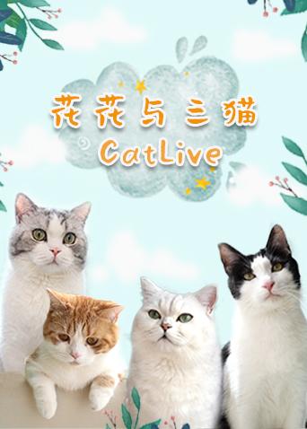 花花与三猫catlive 20191214期
