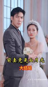 前妻竟是白月光 1-20集