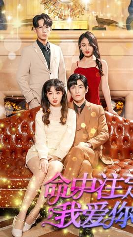 我爱你命中注定 1-20集