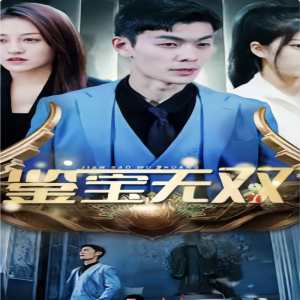 鉴宝无双 41-60集