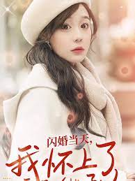 闪婚当天，我怀上了豪门继承人 1-20集