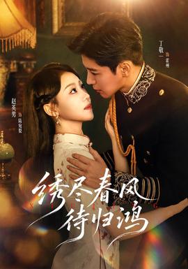 绣尽春风待归鸿(全集)